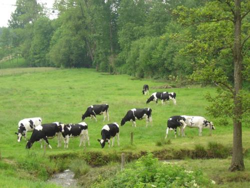 photos (vue du gîte)
